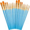 IKIS Paint Brush Set, 20 pcs Nylon Hair Art Paint Brushes for Acrylic Painting